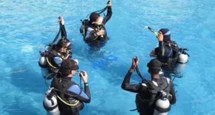 Scuba Review (Refresh) – 1 Dive