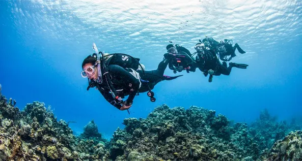 padi-scuba-upgrade-hurghada Upgrade to Open Water Diver Course - Image 1